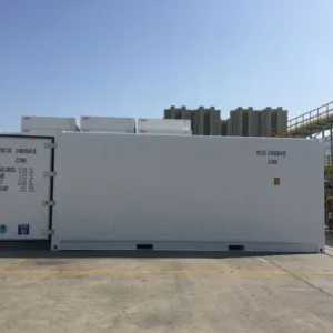 Contêiner reefer doméstico 20 pés